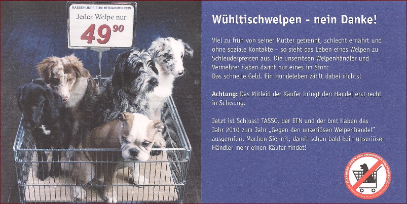 Flyer-Whltischwelpen-01