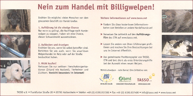 Flyer-Whltischwelpen-02